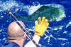 mahi are one of the most beautiful fish in the ocean