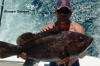 Gotta' love those big grouper.